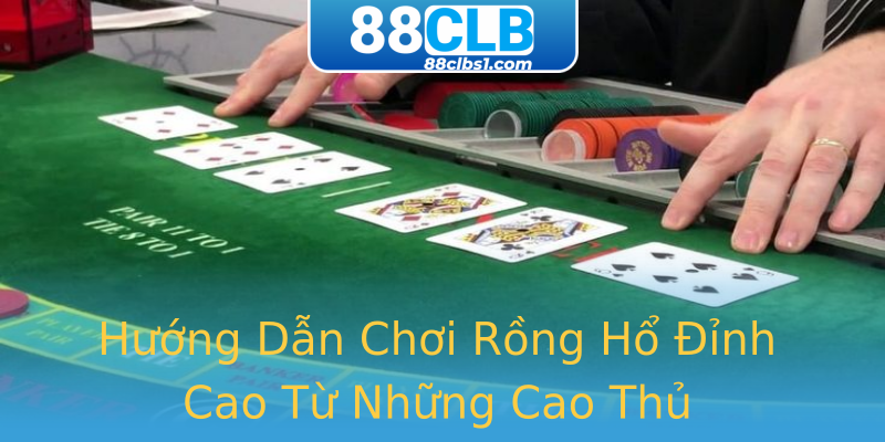 Hướng Dẫn Chơi Rồng Hổ Đỉnh Cao Từ Những Cao Thủ Hướng Dẫn Chơi Rồng Hổ Đỉnh Cao Từ Những Cao Thủ